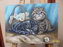 Картина котики масляными красками на холсте 30х40