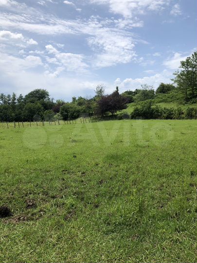 Участок 3000 м² (Абхазия)