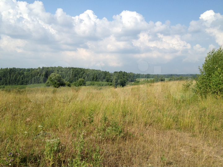 Участок 35 га (ИЖС)