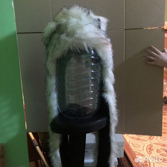 Волкошапка