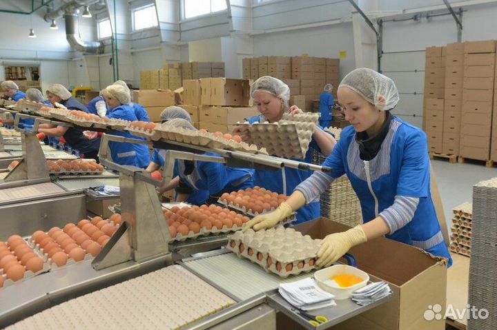 Упаковщица/к вахта