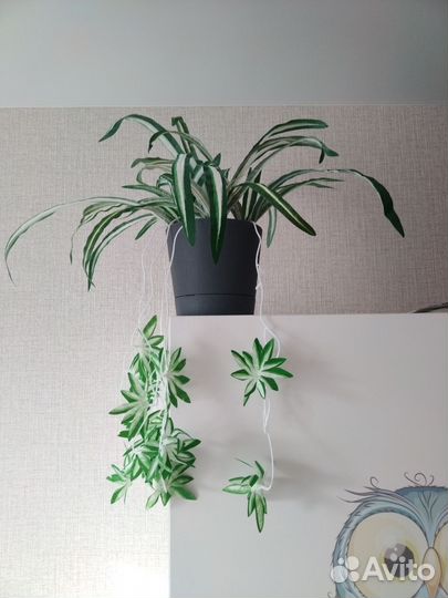 Искусственные цветы