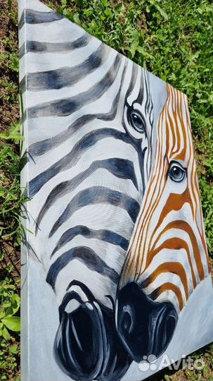 Картина зебры