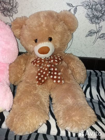 Мишки-медведи