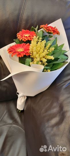 Цветы гербера
