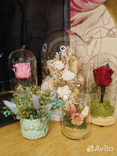 Роза, пионы в колбе, флорариум, ночник, нн2, от