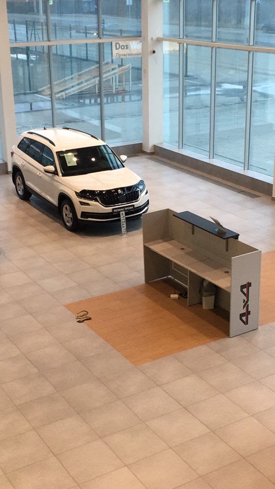 Skoda Kodiaq: фото владельца