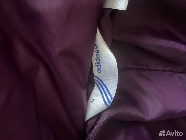 Одежда