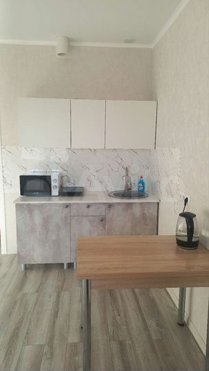 Квартира-студия, 29,3 м², 2/17 эт.