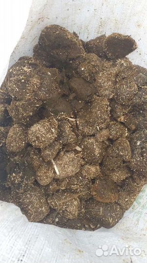 Конский навоз