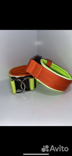 Ошейник для собак