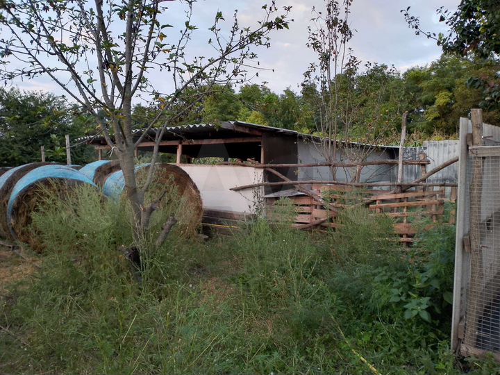 Дача 20 м² на участке 1,4 га