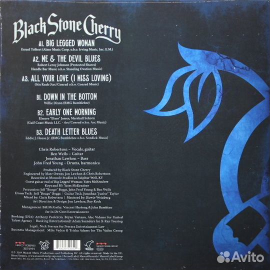 Виниловая пластинка Black Stone Cherry / Black To