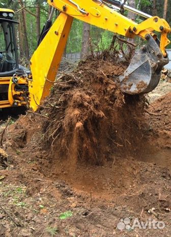 Вывоз корней, грунта