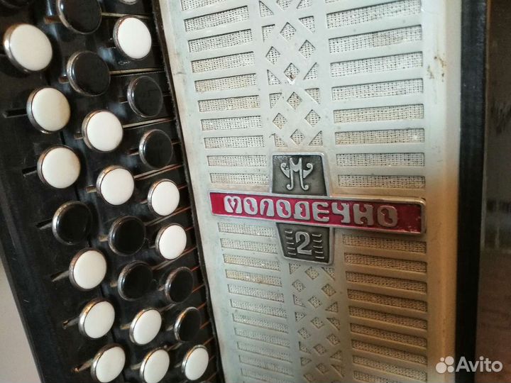 Баян, Молодечно