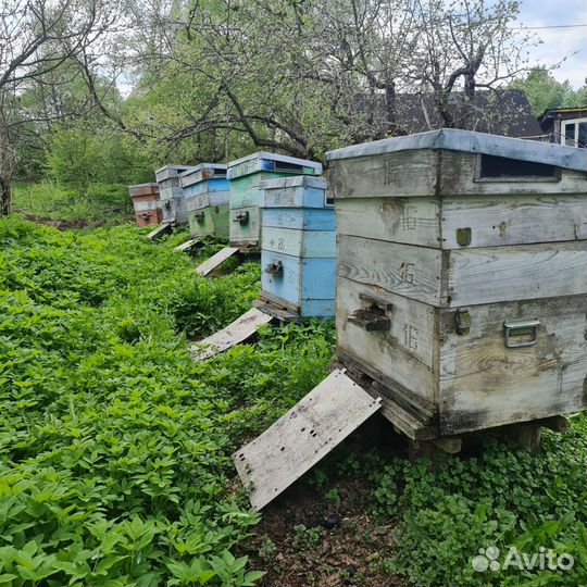 Ульи для пчел