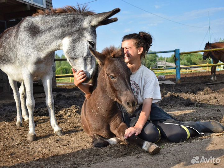 Новорожденное существо поразило посетителей и сотрудников
