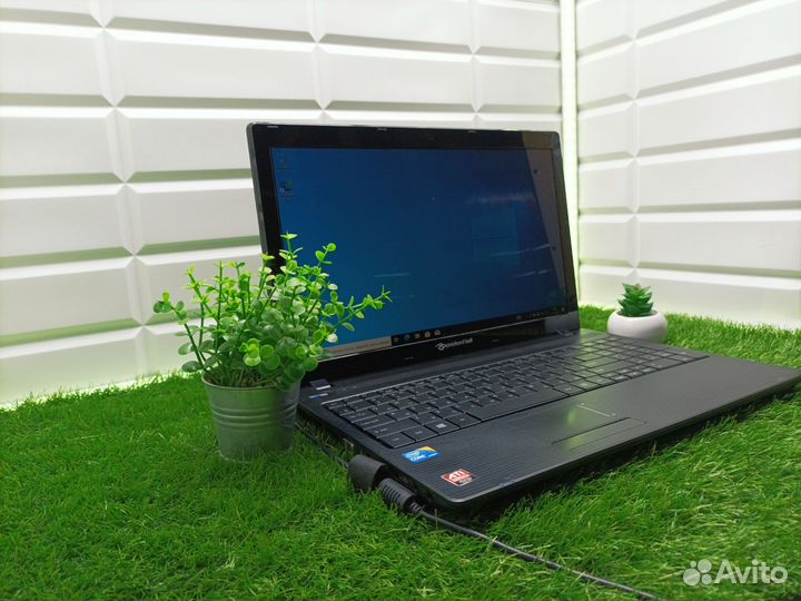 Ноутбук Packard Bell Pew91 с Гарантией
