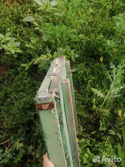 Продам магазины для ульев