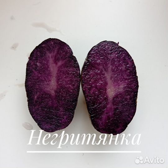 Картофель Северное сияние и негритянка