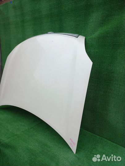 Капот на Nissan Teana J31