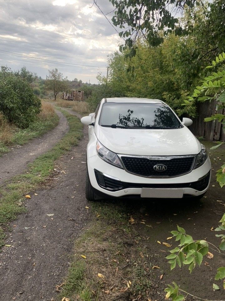 Kia Sportage: фото владельца