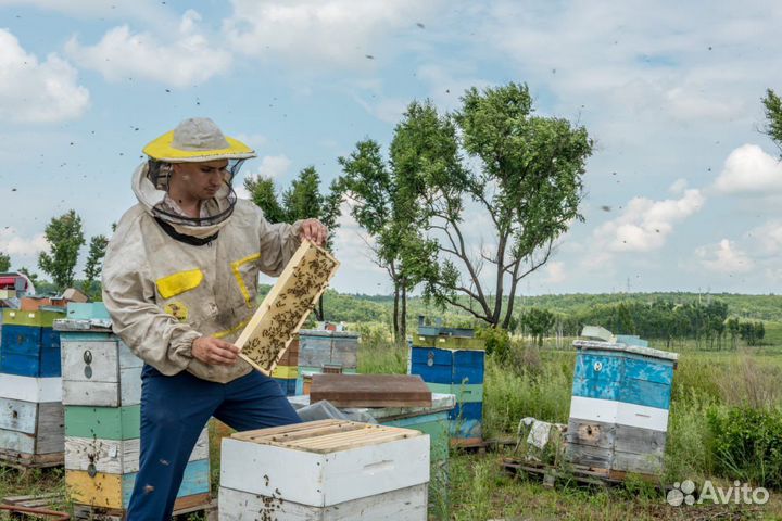 Продам улья на 145 и 230мм, деревянные