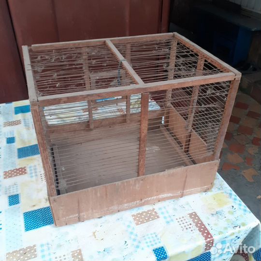 Клетка