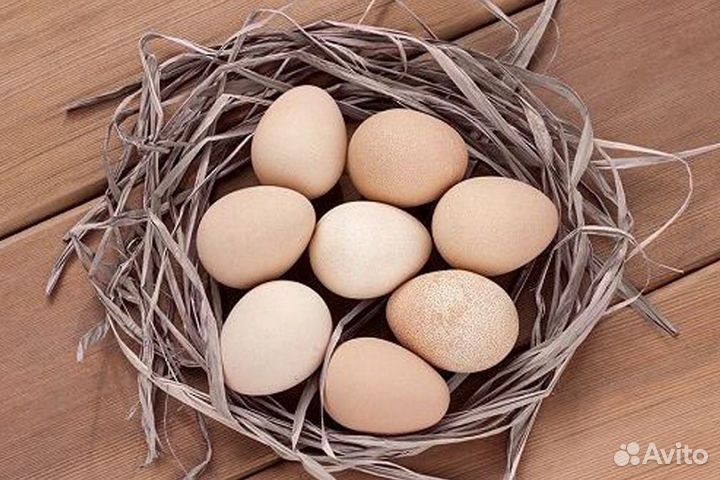 Яйца Цесариные Деревенские