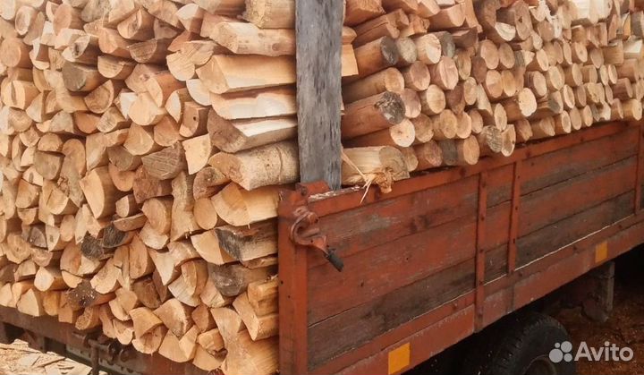 Разнообразие пород дерева для вашего отопления