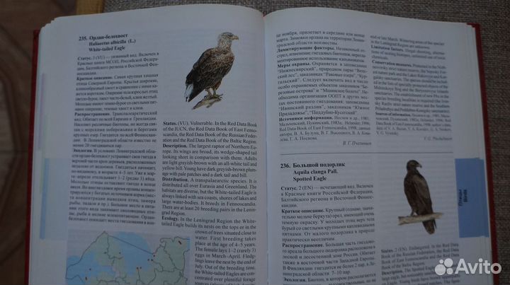 Красная Книга Природы Горецкий Букварь