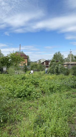 Дача 20 м² на участке 5,8 сот.