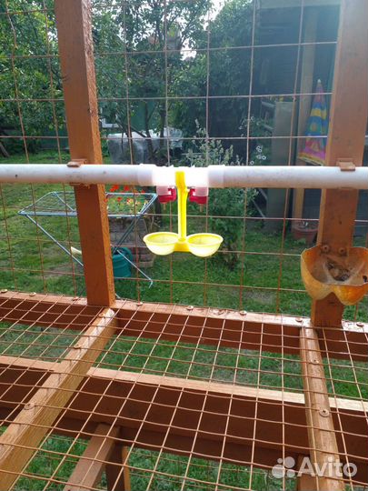 Клетка для броллеров