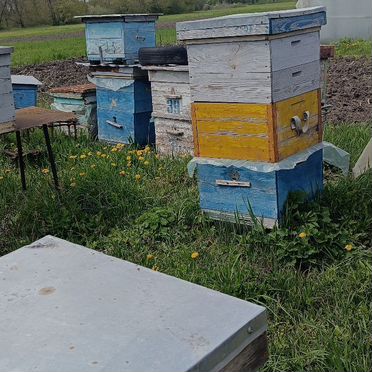 Продам улик для пчел