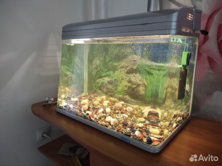 Аквариум jebo