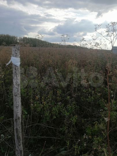 Участок 8 сот. (ИЖС)