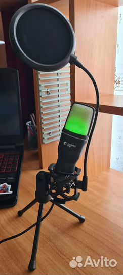 Микрофон Yanmai SF-666R