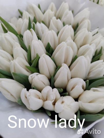 Цветы тюльпаны и букеты с доставкой