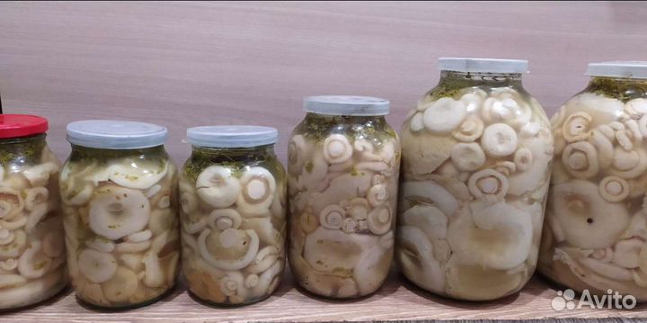 Грузди соленые