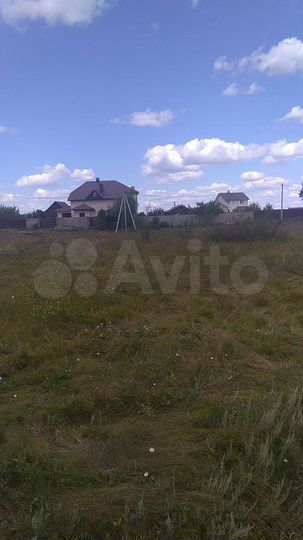 Участок 55,5 сот. (ИЖС)