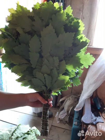 Продаю дубовые веники