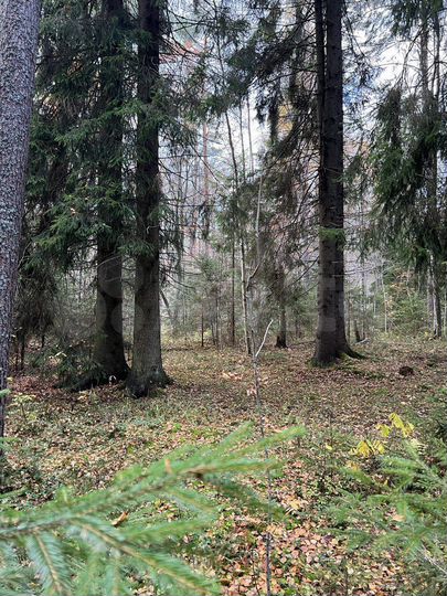 Участок 10 сот. (СНТ, ДНП)