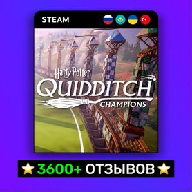 Harry Potter: Quidditch Champions (Steam)