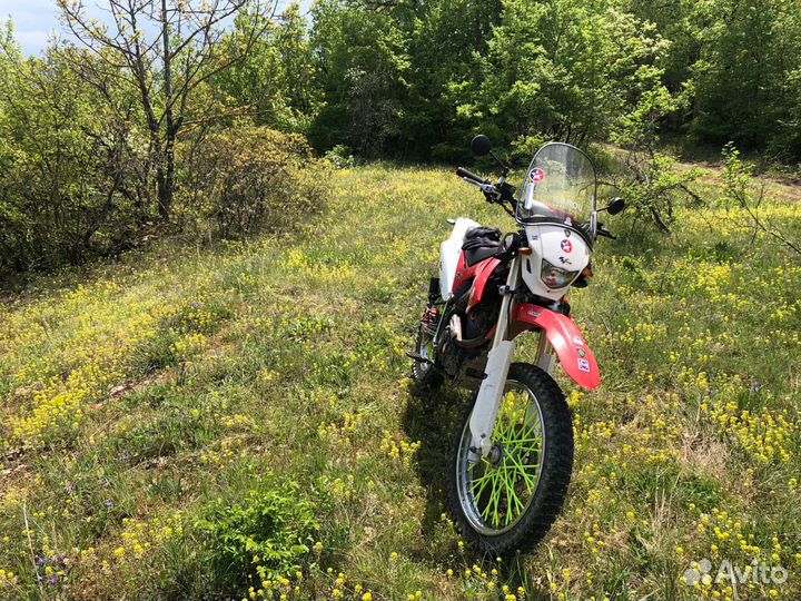 Ekonika sport 004 andes