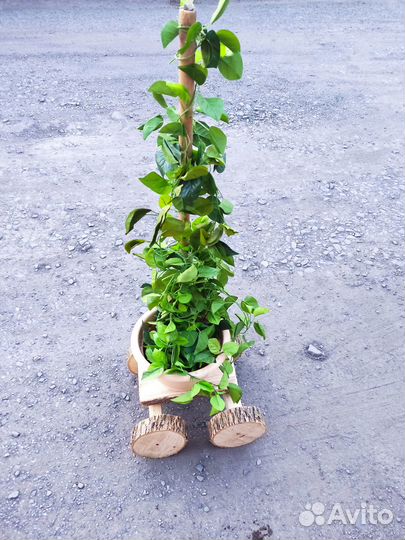 Подставка под цветы дерево для сада и дома