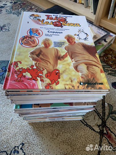 Тело человека (деагостини) +2 модели с органами