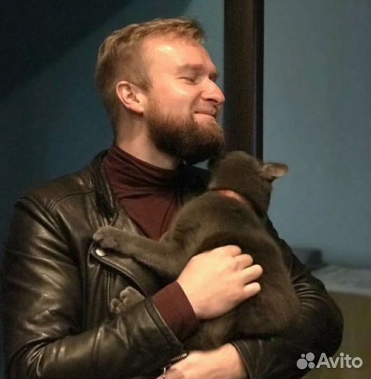 РВП,ВНЖ,гражданство РФ