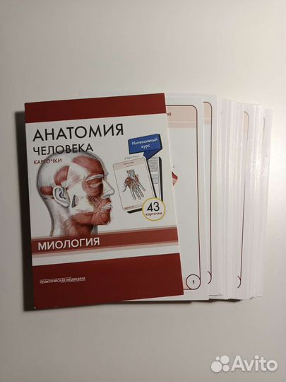 Карточки по анатомии