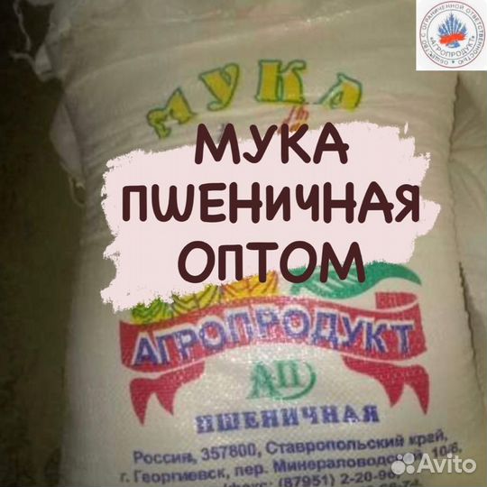 Мука пшеничная оптом
