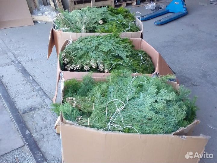 Веники дуб,береза,пихта,кедр,можевельник